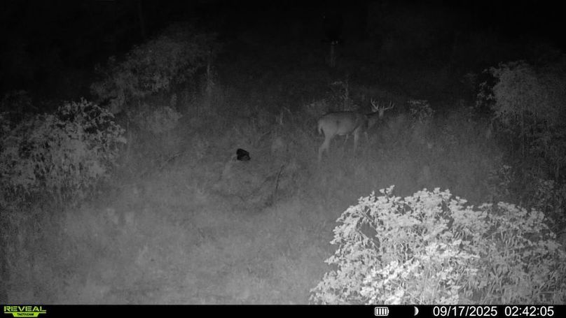 016578004184187-100-3-09172025024205-SYFW04139