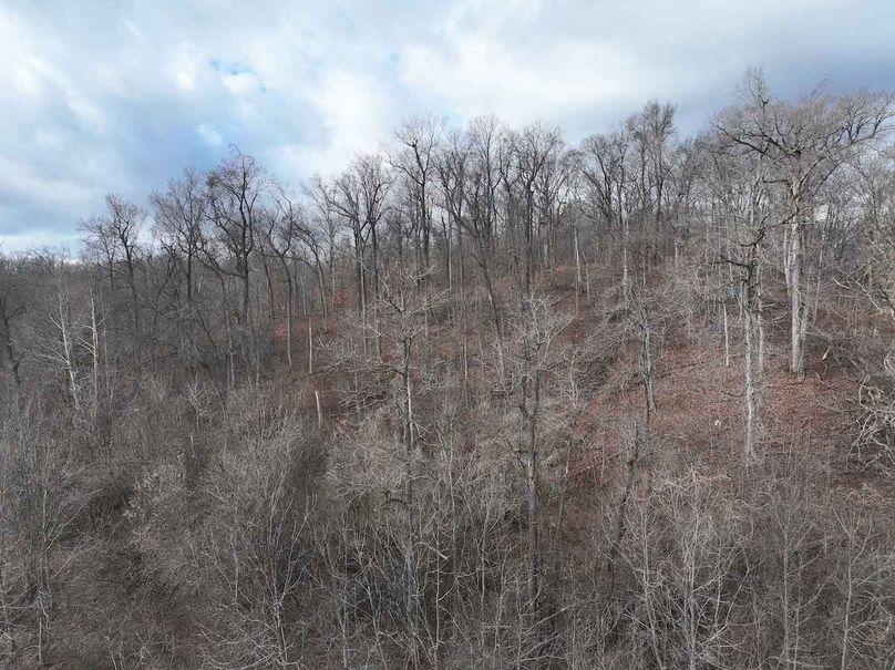 DJI_20251126165012_0328_D