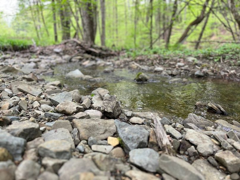 Tioga_78_Biada_Photos_10