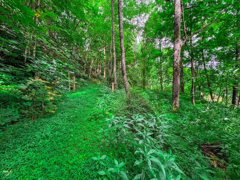 Doddridge, WV 15.68 AC Bonnett-63