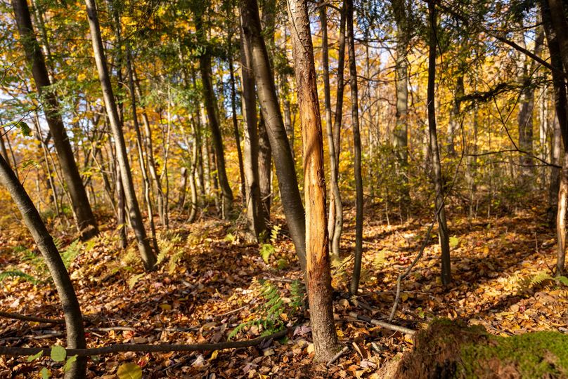 Elk PA 7000 Feature_Pro Photo-138