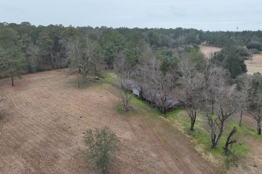 dji_fly_20250129_122926_859_1738192122122_photo