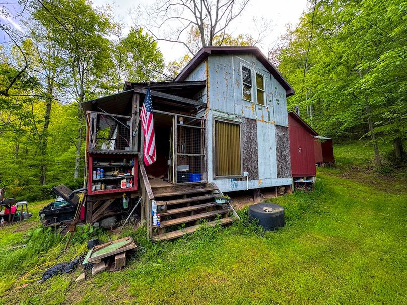 Wirt, WV 145.69 AC 273 Wildflower-58