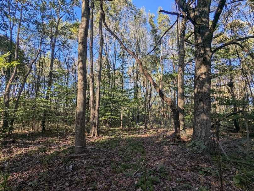 PXL_20251001_211335298