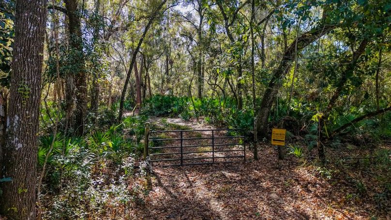 Copy of DJI_20251203234253_0699_D