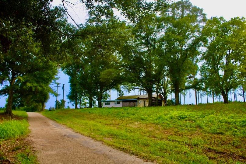 74C63DA9-D82B-4952-9822-0E5C81556313_1_105_c