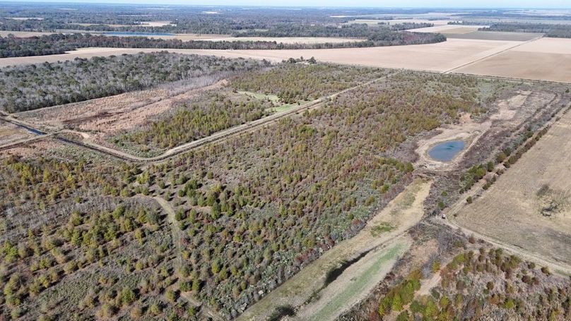 DJI_20251123011151_0940_D