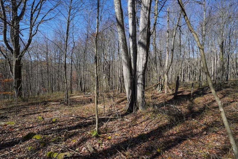 Somerset, 10.91, Tinkey-49