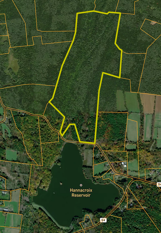 Greene Co 160 Odessa Overview map