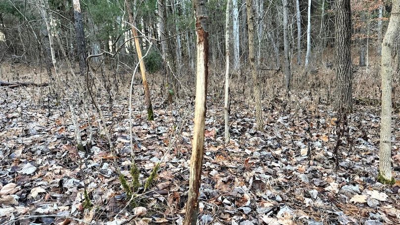 Grayson 48.195 Johnson18