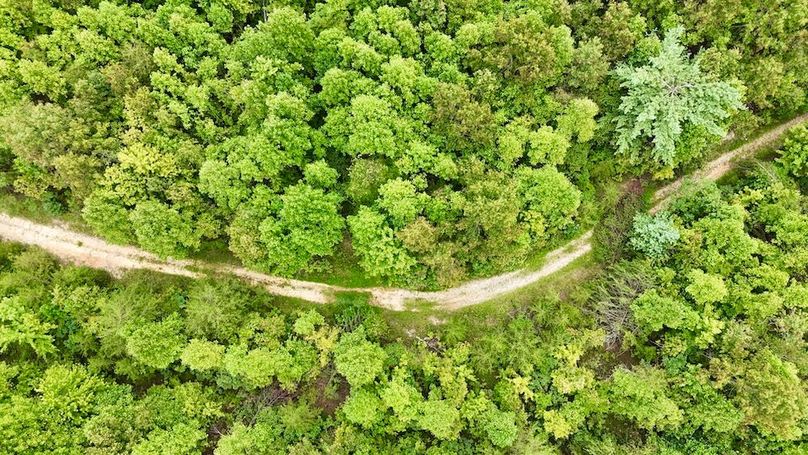 DJI_20250820163355_0061_D