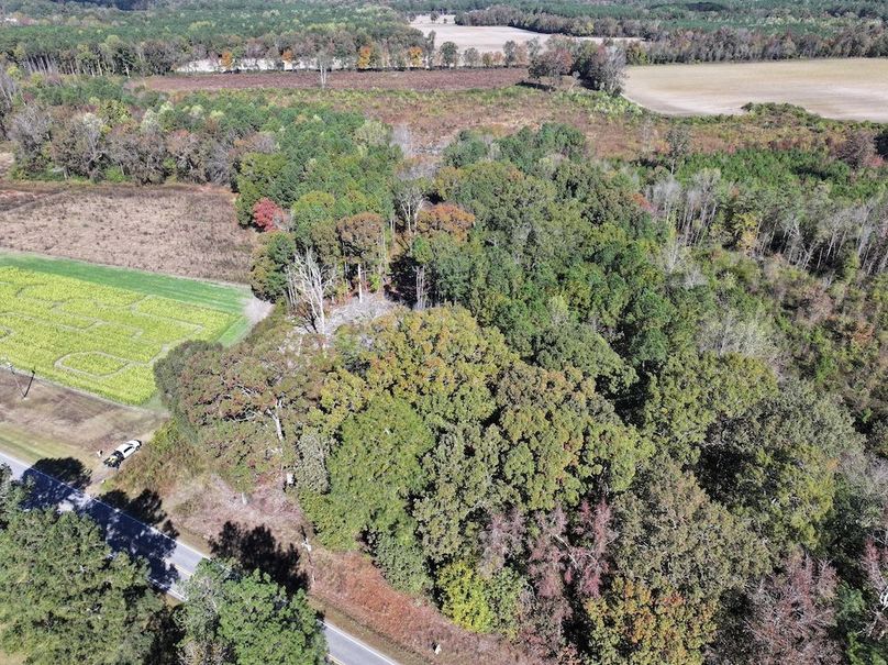 DJI_20251018123738_0136_D