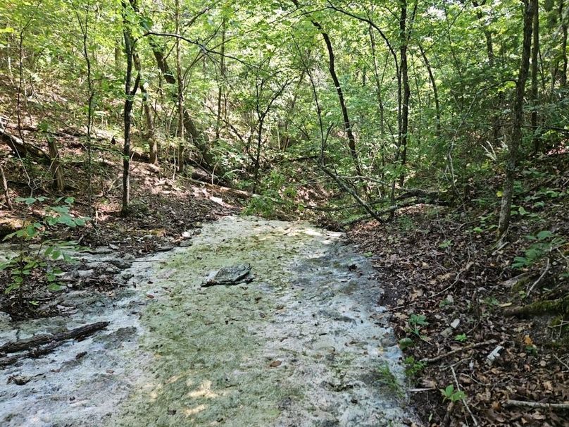 DJI_20240808_104520_152