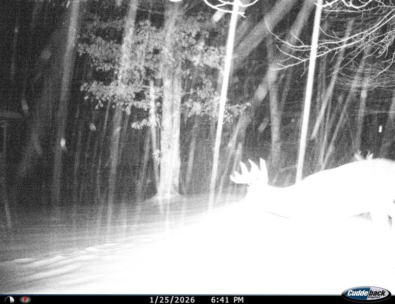 3274A224-24C9-4F7E-B88D-44C46DDDD0FE_1_105_c