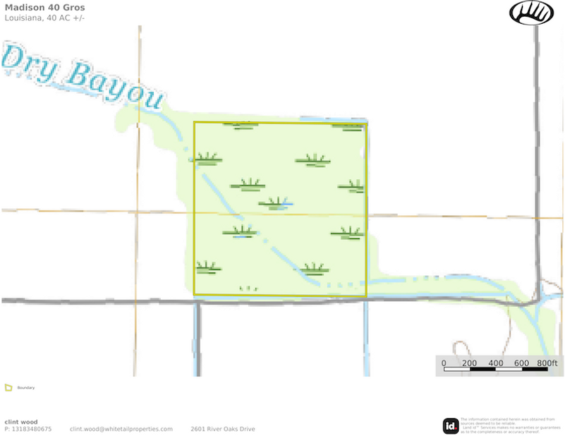 Madison 40 Gros   Topo. 