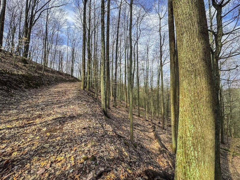 Ritchie, WV 206.08 AC Curriden-42
