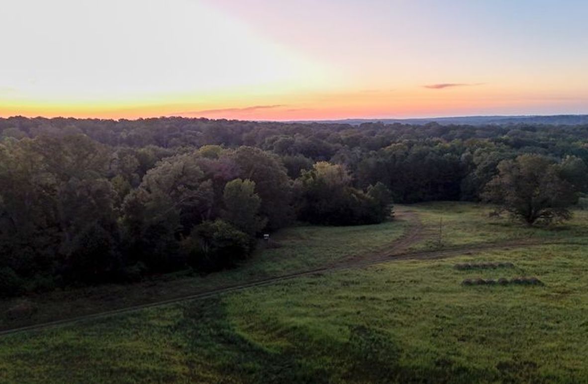 Hinds Co - 78 - Newman-03