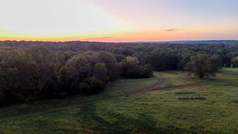 Hinds Co - 78 - Newman-03