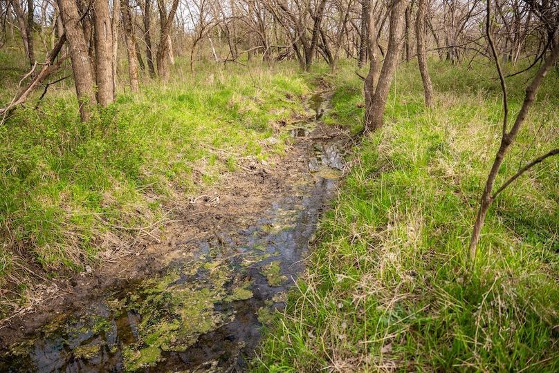 WabaunseeKansas887.39-169