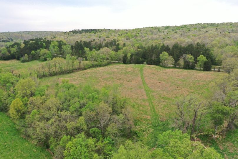 DJI_0770