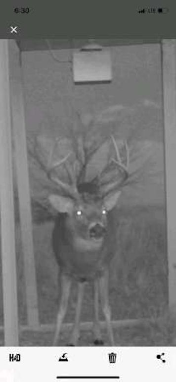 pulse-image-1658112809480