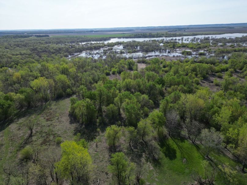 DJI_0255