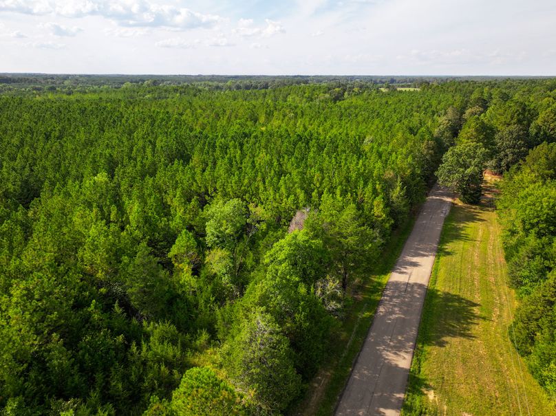 Lee County, MS 92+--21