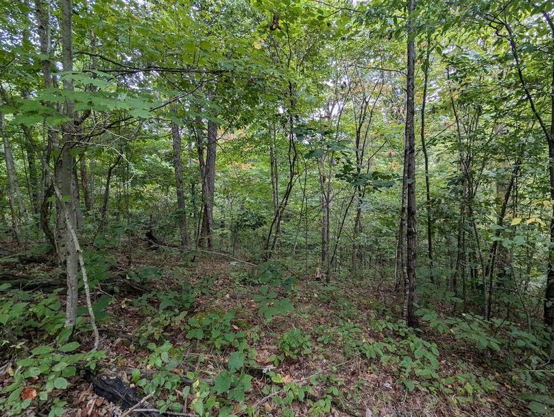 PXL_20240819_150609258