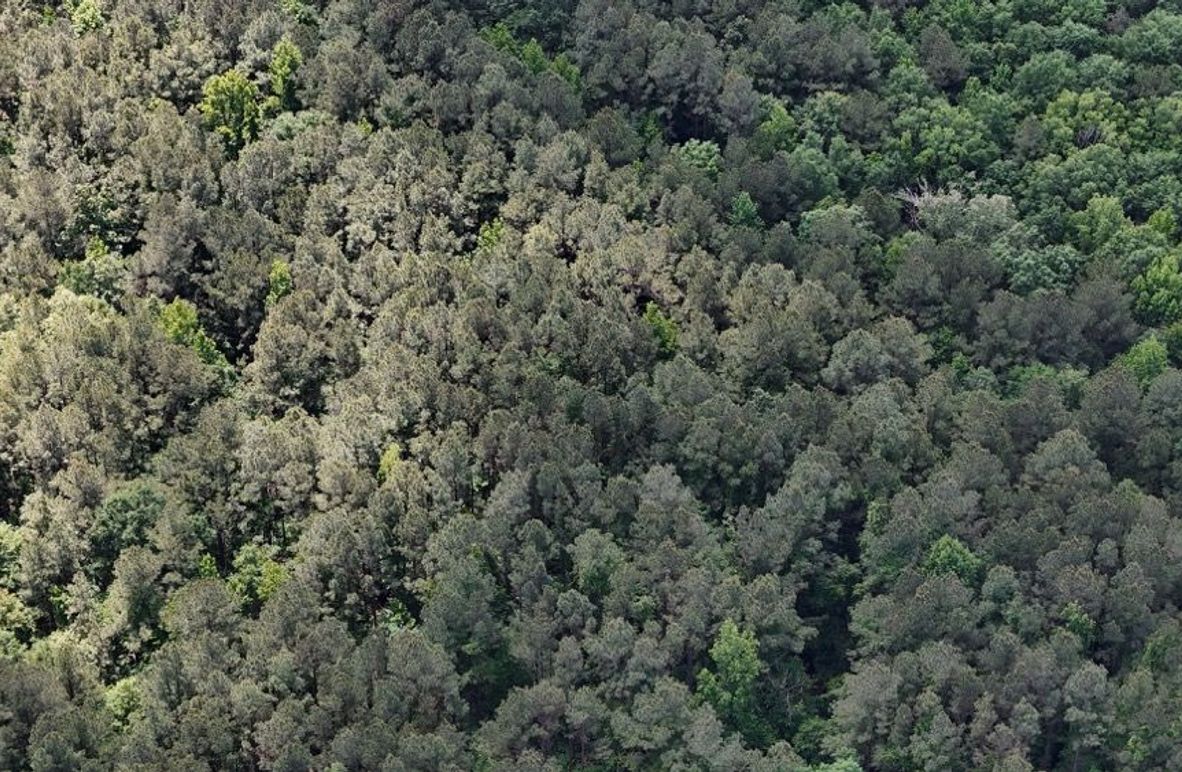 DJI_20250504012820_0476_D