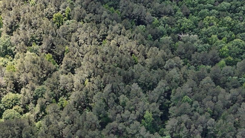 DJI_20250504012820_0476_D