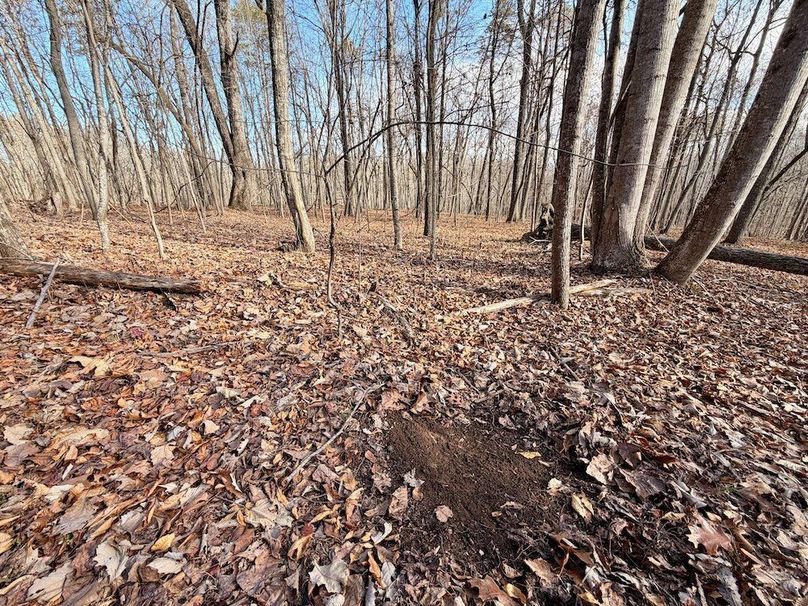 Roane Co TN 396 20251127_33