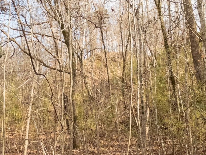 Yazoo Co - 75 - Batton-44