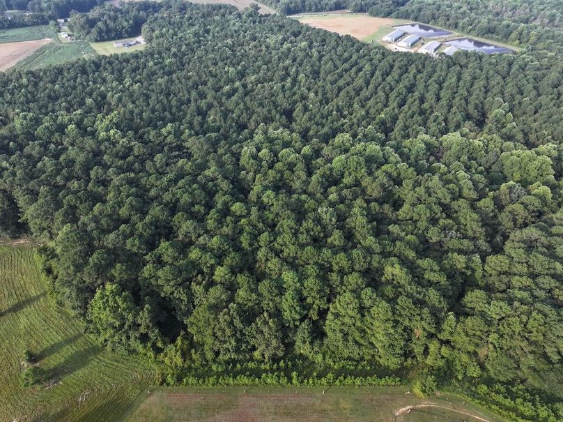 DJI_20250904075123_0017_D