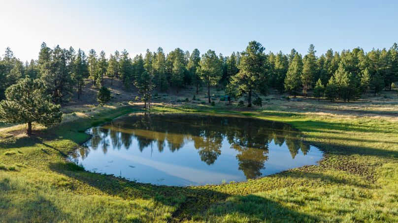 Cibola NM 13,053-0138