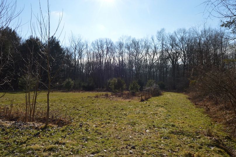 back access to woods