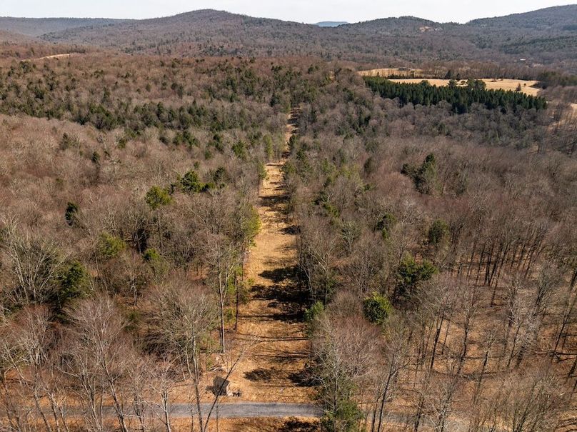 78-web-or-mls-IMG-78