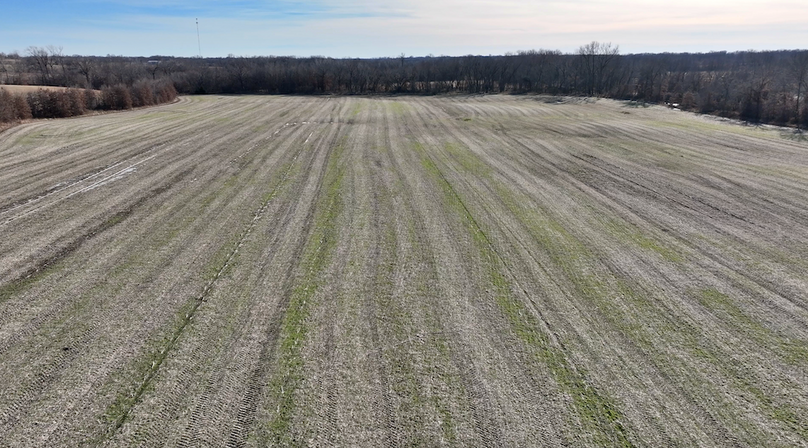 Copy of Screenshot 2025-12-23 at 12.15.34 PM