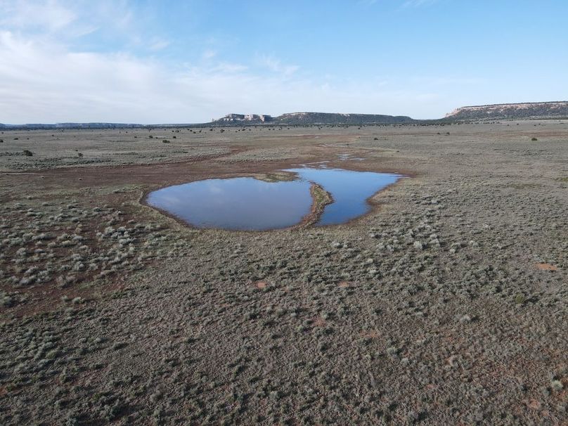 dji_fly_20240504_075126_337_1714830727352_photo