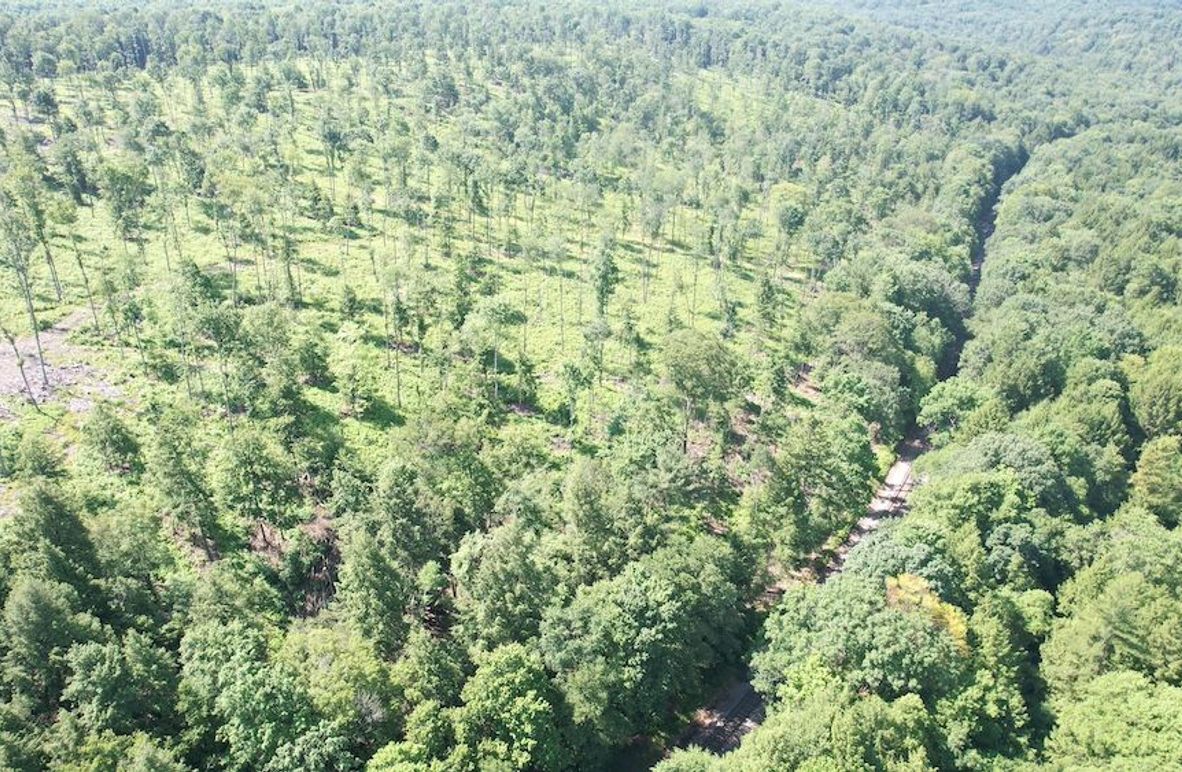 dji_fly_20250624_104138_360_1750776500652_photo