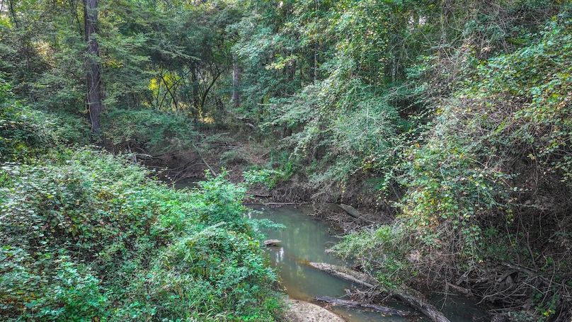 DJI_20250918081759_0135_D