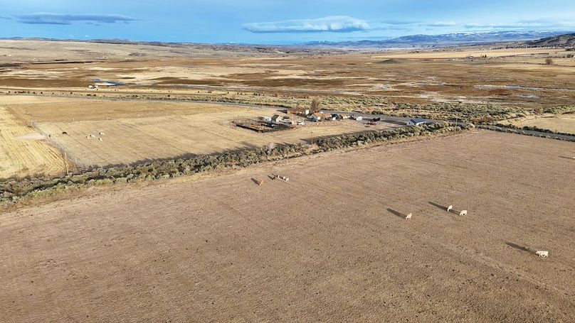 DJI_20250322081853_0244_D