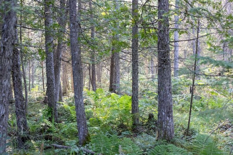 Mackinac 320 Copenhaver-84