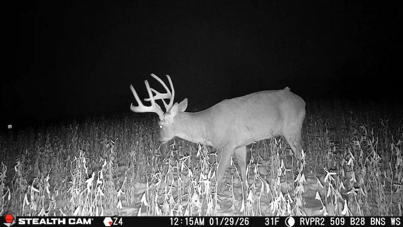 2026012900150601018738_ColorizationType.none