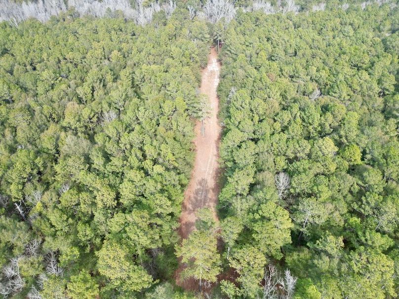 dji_fly_20260203_142310_660_1770146724549_photo