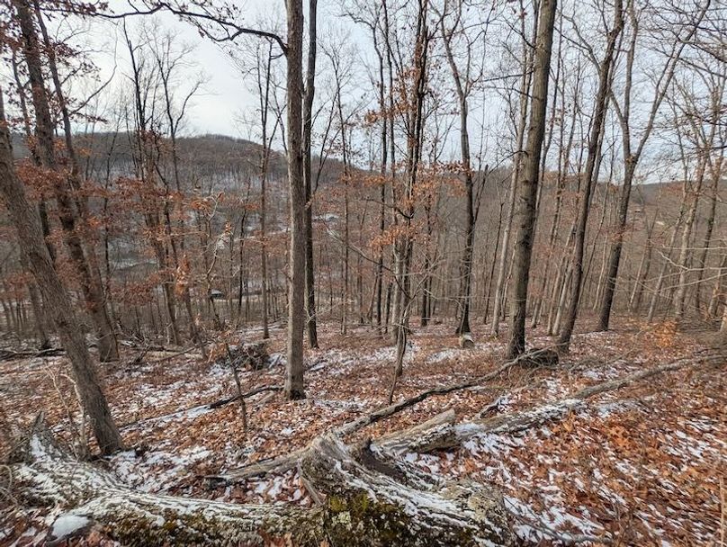 PXL_20260112_171139575