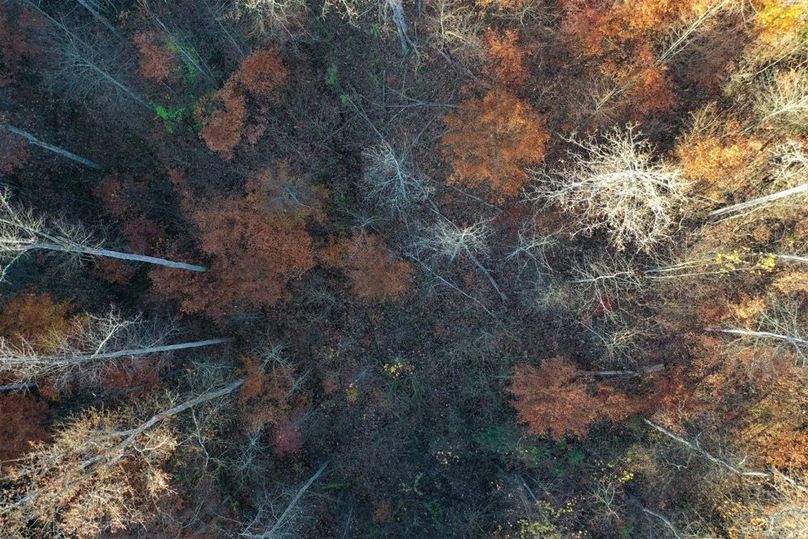 009 aerial drone shot in the middle of the valley