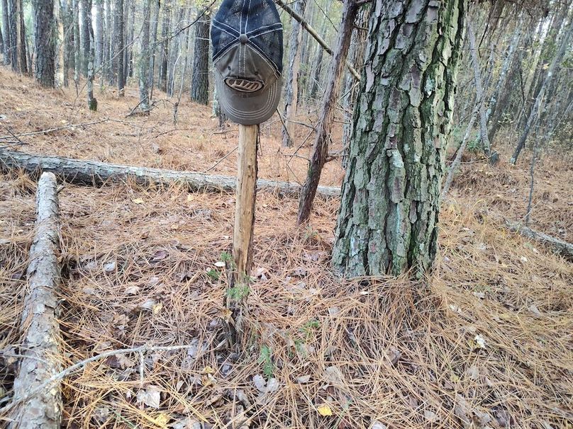 IMG_20251105_152111016