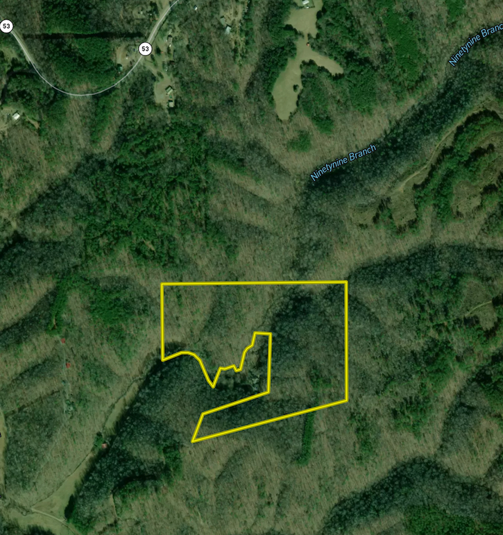 Screenshot 2026-02-17 at 2.15.47 PM