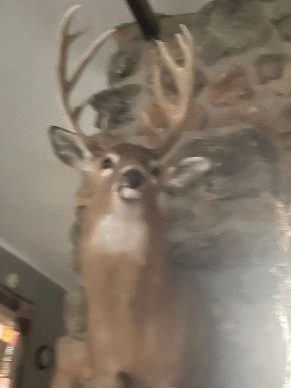 79583111874__12B719E2-4DB2-4E36-97A6-D7EDF2272BEF