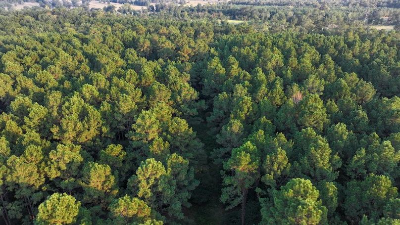 DJI_20250918180342_0194_D